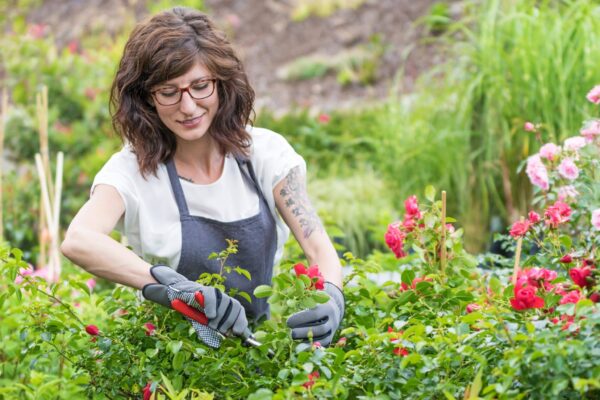 AHC30722 Certificate III in Horticulture